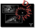 Digital Universe 1.5 OS4-re